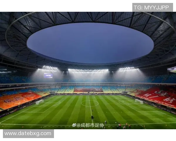 球星热议凤凰山足球场：历史底蕴与现代设施的完美融合